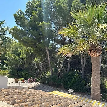 Valencia Alicante